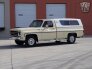 1979 Chevrolet C/K Truck for sale 101689165